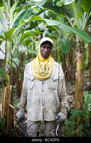 Fair Trade Bananen Bauer, Dominikanische Republik, in der Nähe der Grenze zu Haiti. Stockfoto