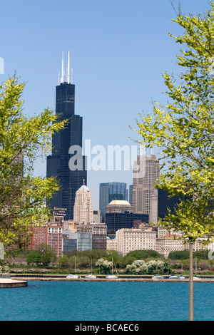 Willis Tower, früher bekannt als der Sears Tower in Chicago Illinois USA Stockfoto