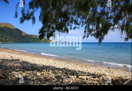 Dafni Strand Vasilikos Zakynthos Ionain Insel Zakynthos Griechenland EU Europäische Union Europa Stockfoto