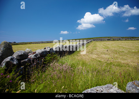 Trocknen Sie Steinwand in der Nähe von Morvah in Cornwall, England, UK Stockfoto