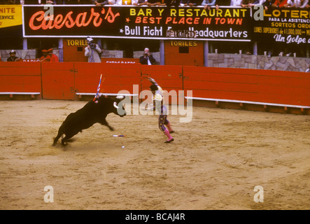 Ein Mann kämpft einen Stier in Tijuana, Mexiko im Jahr 1960. Stockfoto