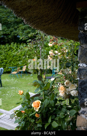 Bonython Estate Gärten Stockfoto