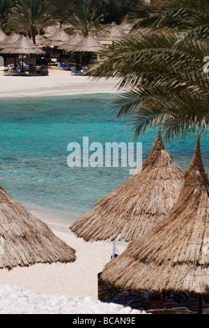 Strohgedeckten Sonnenschirmen auf einem Palm, von Bäumen gesäumten Strand Stockfoto