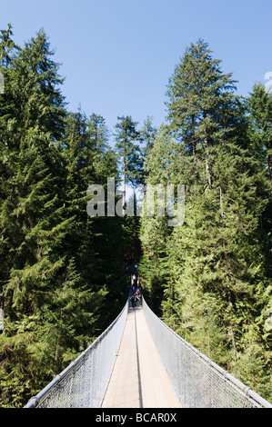 Capilano Suspension Bridge und Park Vancouver British Columbia Kanada Stockfoto