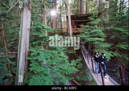 Capilano Suspension Bridge und Park Vancouver British Columbia Kanada Stockfoto