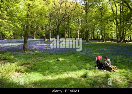 Familie entspannende Blackbury Camp Eisenzeit Wallburg, Devon Stockfoto