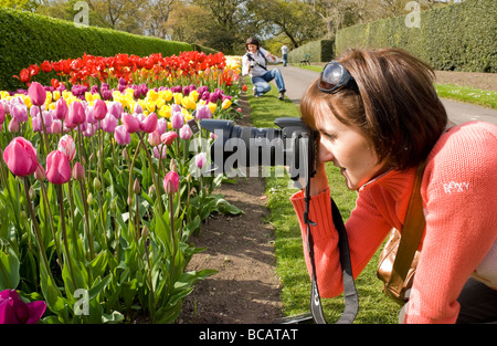 Junge weibliche Fotografin die close-up Bilder von Blumenbeeten Stockfoto