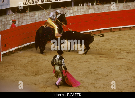 Ein Picador kämpft einen Stier bei einem Stierkampf Spiel in Tijuana, Mexiko während 1960. Stockfoto