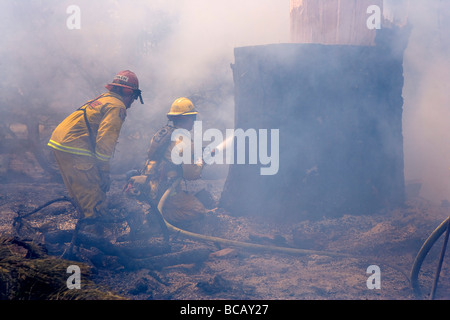 California Wildfire in Santa Cruz Mountains. CALFIRE/CDF Wildland Feuerwehrmann-Strike Team im Löschangriff Stockfoto