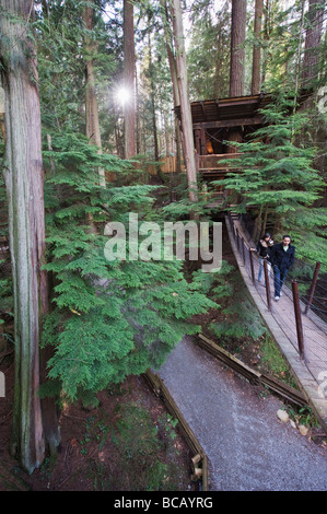 Capilano Suspension Bridge und Park Vancouver British Columbia Kanada Stockfoto