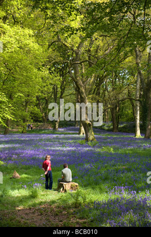 Paar genießt einen sonnigen Nachmittag am Blackbury Camp Eisenzeit Wallburg, Devon Stockfoto