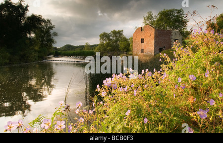 Cutt Mill am Fluss Stour im Abend Sonnenlicht Stockfoto