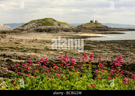 Armband-Bay, Gower-Halbinsel, in der Nähe von South Wales Swansea, West Glamorgan, U.K Stockfoto