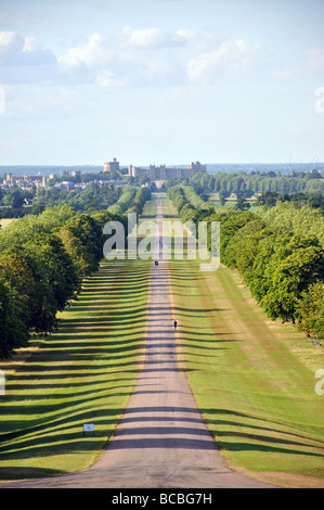 Die langen Spaziergang, Windsor Great Park, Windsor, Berkshire, England, Vereinigtes Königreich Stockfoto