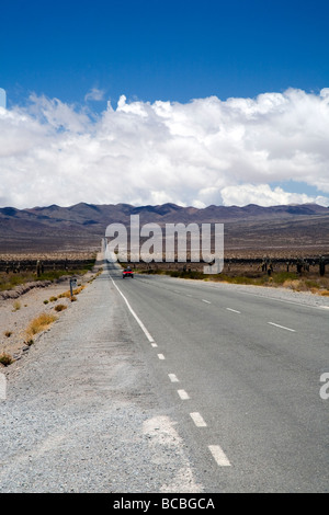 Route 40 läuft durch den Parque Nacional Los Cardones, Provinz Salta, Argentinien Stockfoto