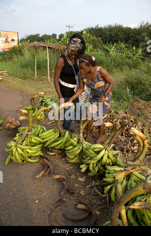 Frau kauft Trauben von Kochbananen am Straßenrand Verkäufer Kamerun Westafrika Stockfoto