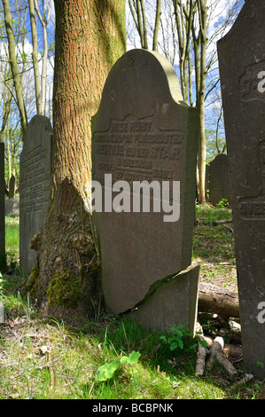 Gräber auf einem jüdischen Friedhof in Amsterdam Niederlande. Stockfoto