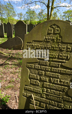 Gräber auf einem jüdischen Friedhof in Amsterdam Niederlande Stockfoto