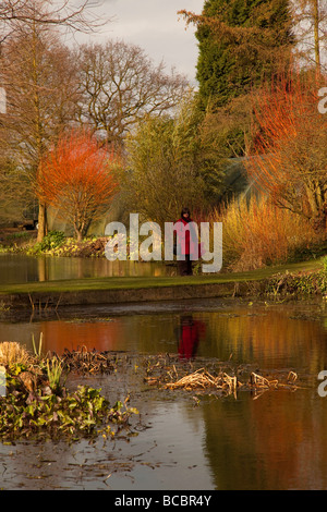 Roter Mantel Stockfoto