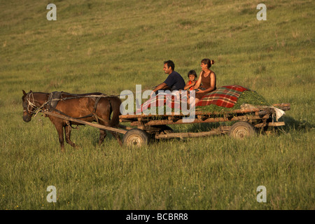 Familie Reiten traditionellen Pferdewagen geladen mit Heuernte in der Nähe von Samokov Bulgarien Osteuropa Stockfoto