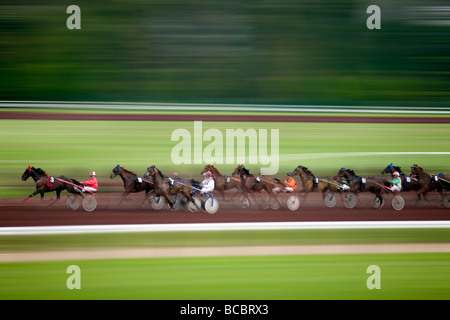 Ein Traber Rennen auf der Rennbahn "Bellerive", in Vichy (Frankreich). Kurs de Trab Attelé Sur l' Hippodrome de Vichy (Frankreich). Stockfoto