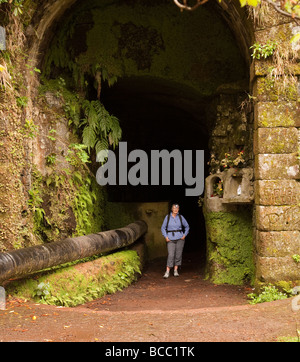 Levadas, Wasser Bewässerungskanäle, auf der Insel Madeira werden jetzt von Wanderern benutzt. Levada Das 25 Fontes Farne grün grün Stockfoto