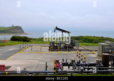 Wytch Bauernhof, nicken Esel Ölquelle im Kimmeridge Bay, Dorset, England UK Stockfoto