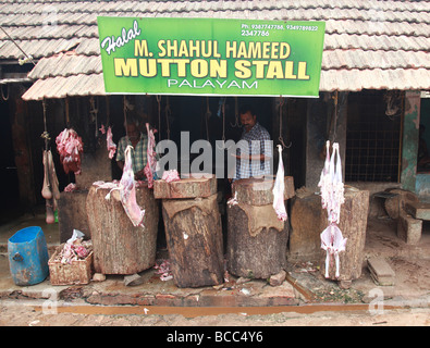 Hammel Stall, Trivandrum, Kerala Indien Stockfoto