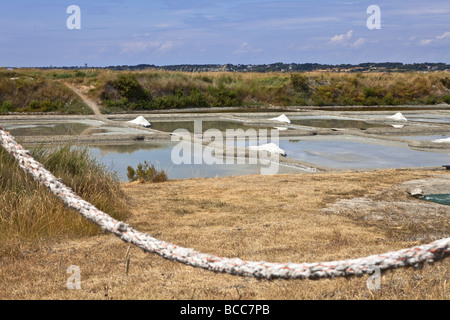 Französische Meersalz in Guerande Salzwiesen, Bretagne in der Nähe von Le Croisic / Saint-Nazaire / Nantes, Loire-Atlantique, Frankreich, Europa Stockfoto