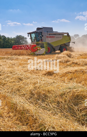 CLAAS Lexion 540 Mähdrescher ernten Sommergerste - Indre-et-Loire, Frankreich. Stockfoto