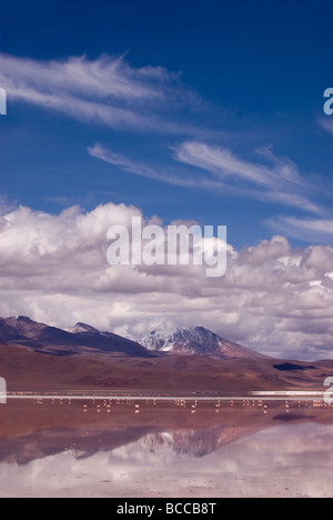 Laguna Colorada (rote Lagune) innerhalb von Eduardo Avaroa Anden Fauna Nationalreservat in Bolivien Stockfoto