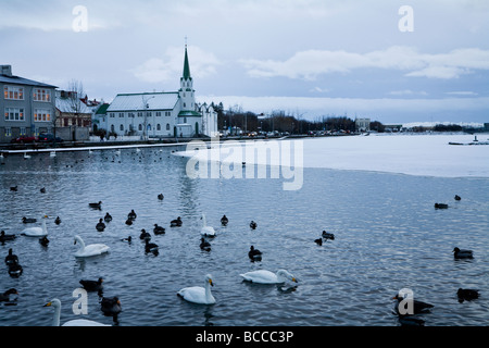 Tjörnin-Sees und Frikirkjan Kirche Downtown Reykjavik Island Stockfoto