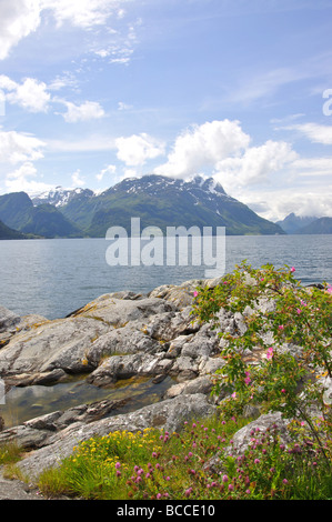 Nord-Fjord, Baustil, Sogn Og Fjordane, Norwegen Stockfoto