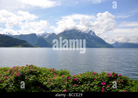 Nord-Fjord, Baustil, Sogn Og Fjordane, Norwegen Stockfoto