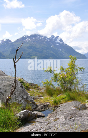 Nord-Fjord, Baustil, Sogn Og Fjordane, Norwegen Stockfoto