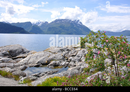 Nord-Fjord, Baustil, Sogn Og Fjordane, Norwegen Stockfoto