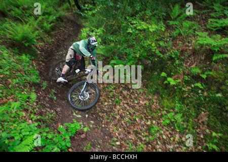 Mountainbiker fahren bergab auf einem üppigen Waldweg Stockfoto