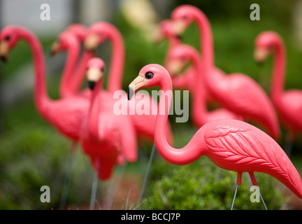 Eine Herde von Kunststoff rosa Flamingos schmücken eine Liegewiese. Stockfoto