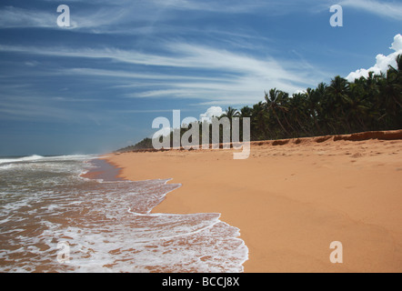 Wellen, die an einem Strand in Kerala Stockfoto