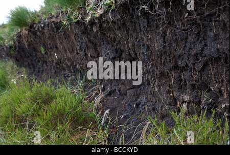 Naht Torfmoor auf einem Berg Decke Moor in Irland County Antrim-Nordirland Vereinigtes Königreich Stockfoto