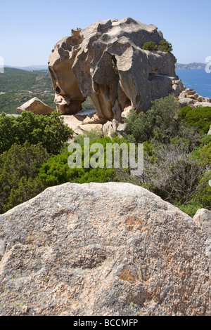 Der Wind geformt Bear Rock am Capo d ' Orso, Sardinien Stockfoto