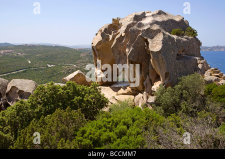 Der Wind geformt Bear Rock am Capo d ' Orso, Sardinien Stockfoto