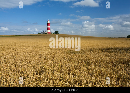 Happisburgh Leuchtturm an der North East Norfolk Küste gesehen über eine Reife Weizen Stockfoto