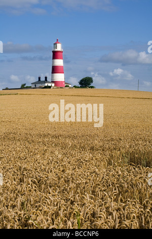 Happisburgh Leuchtturm an der North East Norfolk Küste gesehen über eine Reife Weizen Stockfoto