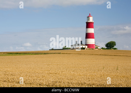 Happisburgh Leuchtturm an der North East Norfolk Küste gesehen über eine Reife Weizen Stockfoto