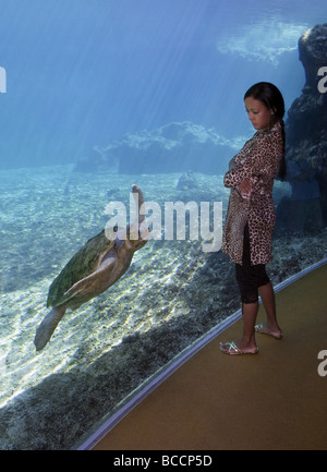 Frau Meeresschildkröte in einem Aquarium beobachten Stockfoto
