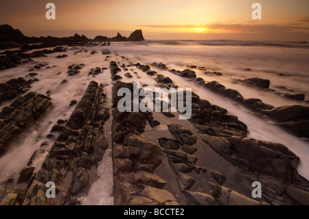 Stimmungsvolle Dämmerung Sonnenuntergang über schroffe Felsen am dramatischen Hartland Quay an der Küste von North Devon UK Stockfoto