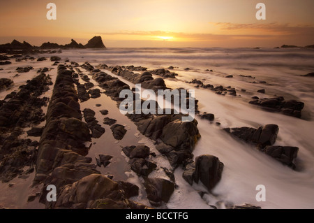 Stimmungsvolle Dämmerung Sonnenuntergang über schroffe Felsen am dramatischen Hartland Quay an der Küste von North Devon UK Stockfoto