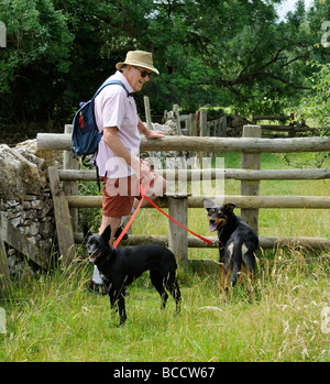 Mann mit zwei Hunden in einer Landschaft Stil in Gloucestershire, England UK Stockfoto