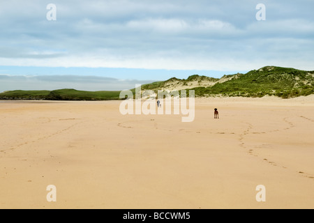 Sandstrand und die Bucht von Balnakeil Bucht, Durness, Sutherland in Schottland mit Mann zu Fuß Hunde in der Ferne Stockfoto